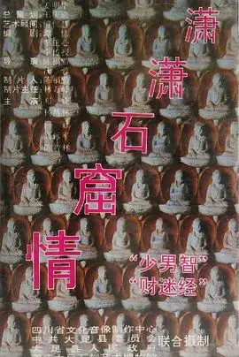 潇潇石窟情 海报