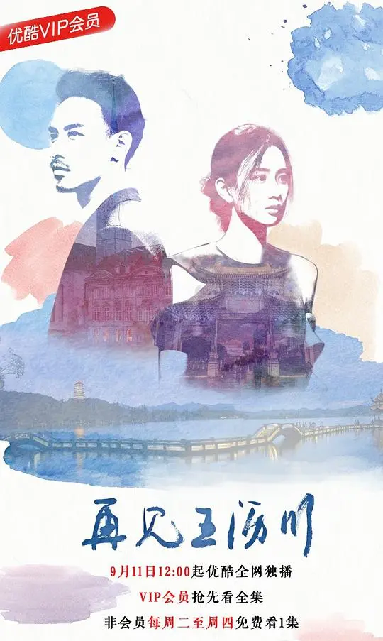 感人肺腑的爱情之旅：再见王沥川深度影评