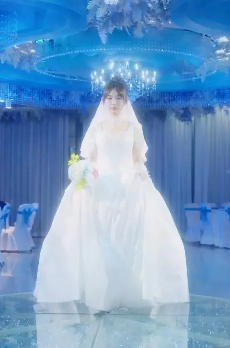 闪婚老公是仙君：契约婚姻下的浪漫修仙之旅