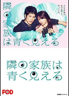 《总觉得邻家更幸福》：禁忌之恋与家庭秘密的交织