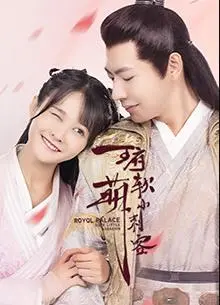 王府软萌小刺客 海报